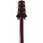 Takamine JJ325SRC John Jorgensen (Pre-Owned)