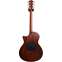 Taylor T5 Custom Satin Cherry Burst (Pre-Owned) Back View