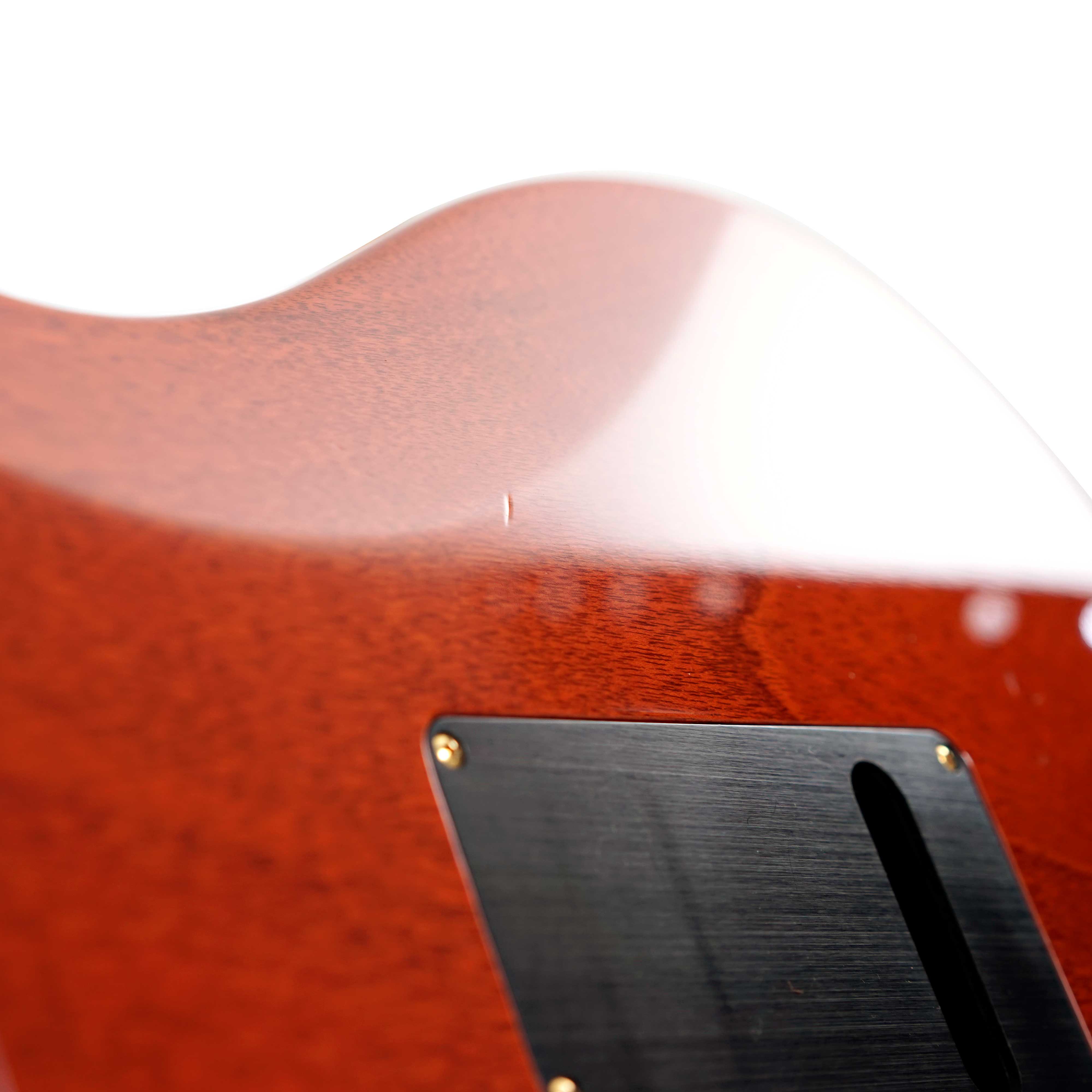 PRS 2018 DGT Birds / 10 Top Faded Burnt Maple Leaf (Pre-Owned)