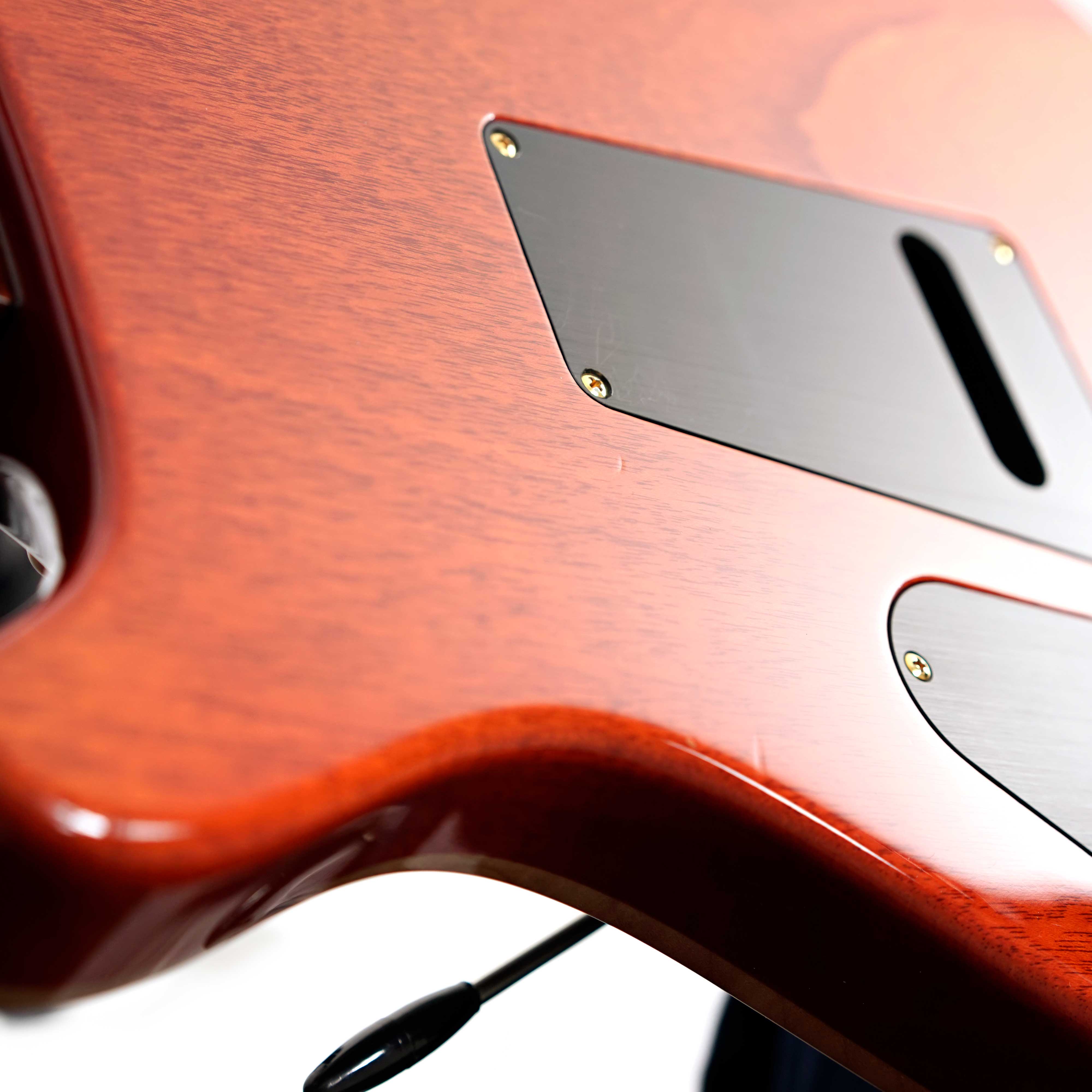 PRS 2018 DGT Birds / 10 Top Faded Burnt Maple Leaf (Pre-Owned)