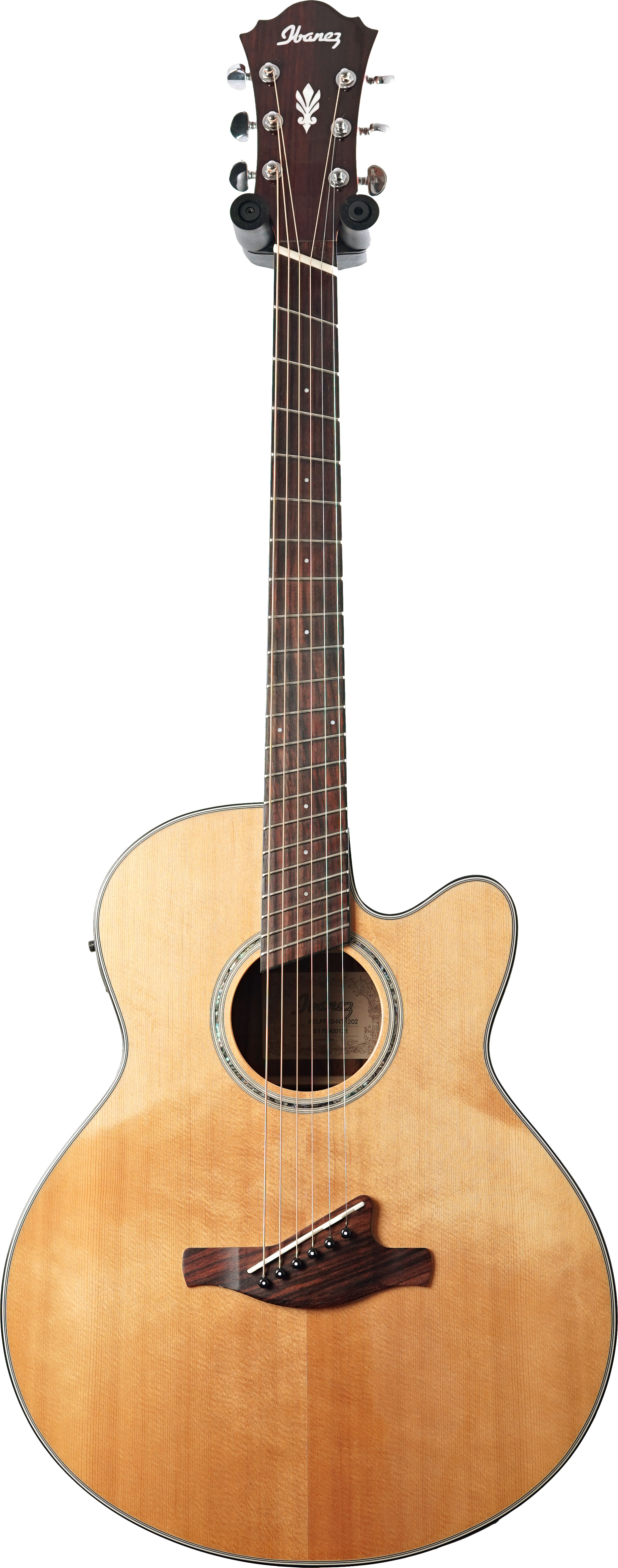 Ibanez AELFF10 Fan Fret Natural High Gloss  (Pre-Owned)