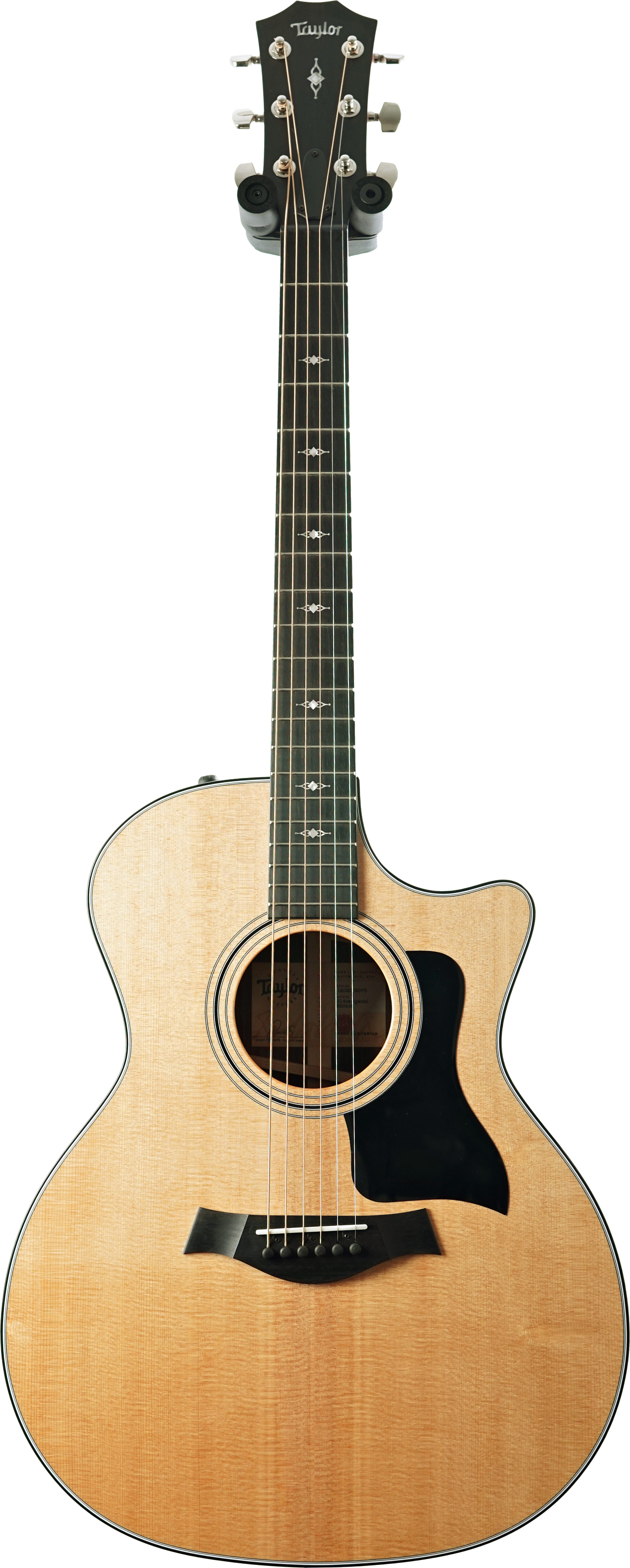 Taylor Special Edition 314ce Grand Auditorium Indian Rosewood (Pre-Owned)