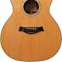 Taylor 2009 900 Series 914ce Grand Auditorium Left Handed (Pre-Owned) #20090721110 