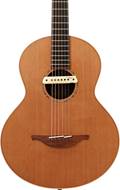 Lowden S-35 12 Fret Cedar/Walnut with LR Baggs M1 (Pre-Owned)