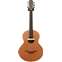 Lowden S-35 12 Fret Cedar/Walnut with LR Baggs M1 (Pre-Owned) Front View