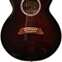 Takamine FP115 (Pre-Owned) #00090929 