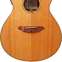 Breedlove AC25/SM Natural (Pre-Owned) #06110728 