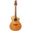 Breedlove AC25/SM Natural (Pre-Owned) #06110728 Front View