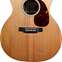 Martin GPX1AE (Pre-Owned) #1932699 