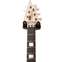 EVH Wolfgang USA Ebony Fingerboard 5A Flame Top Natural Hardtail (Pre-Owned) #W602930A 