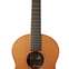 Lowden 2007 S25 Indian Rosewood/Red Cedar (Pre-Owned) #15757 