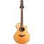 Yamaha APX700-12NT 12 String Natural (Pre-Owned) #QNL131001 Front View