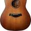 Taylor 2021 Builder's Edition Grand Pacific 517e Wild Honey Burst (Pre-Owned) #1204191127 