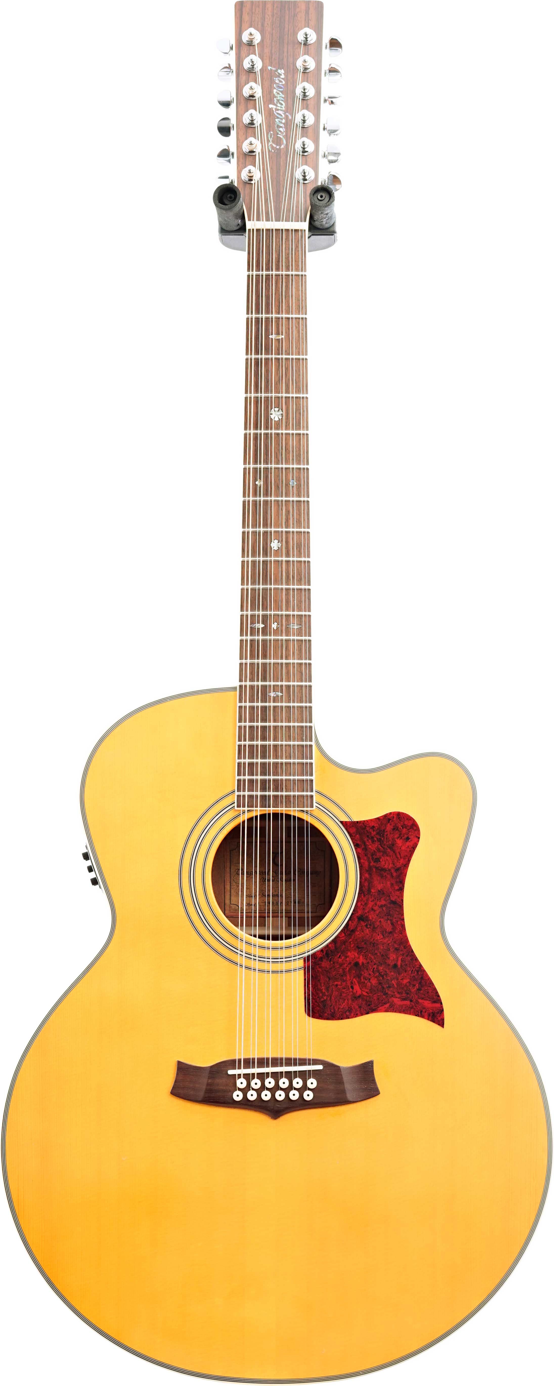 Tanglewood tw55 2024