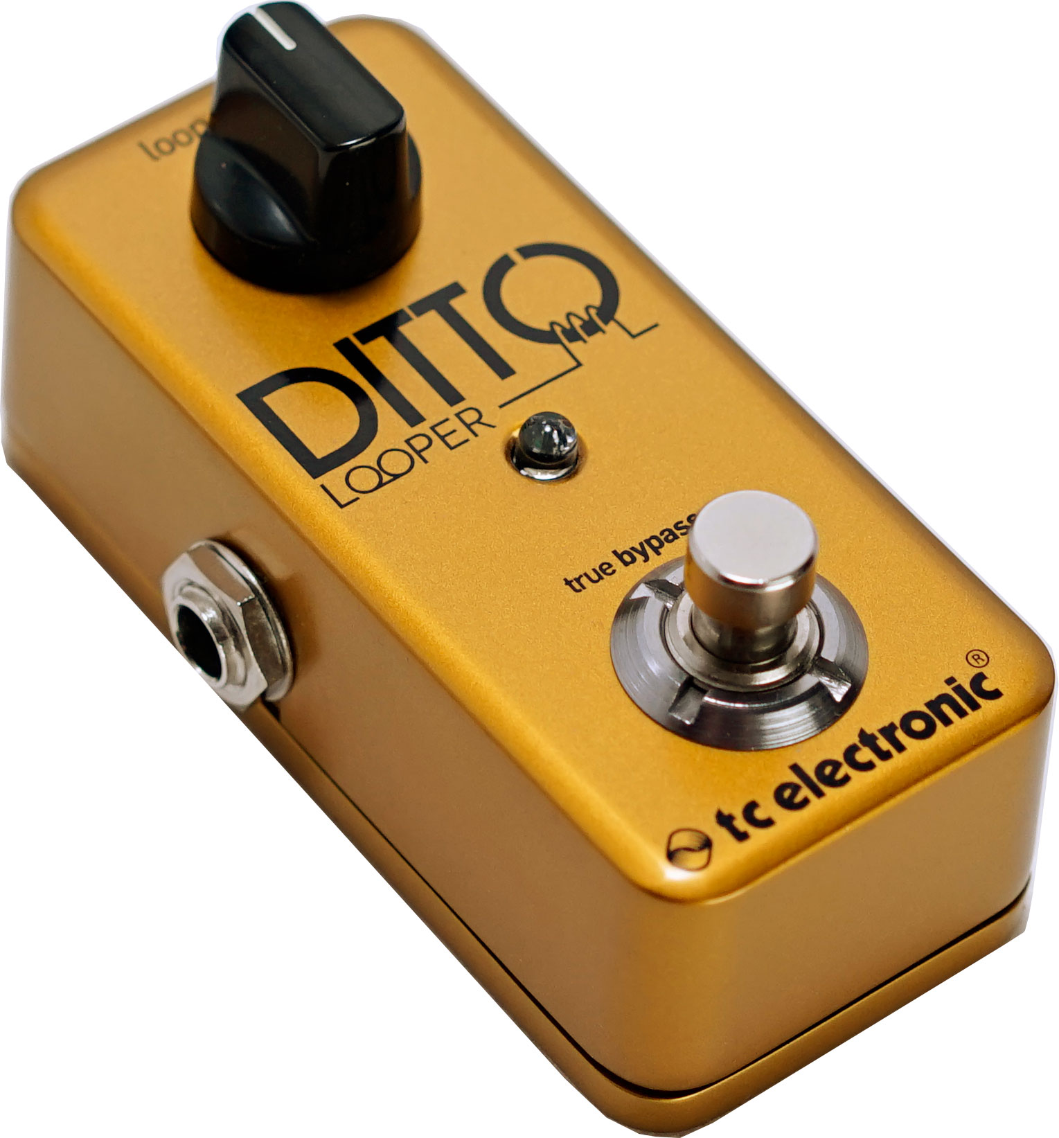 TC Electronic Ditto Gold Limited Edition (Pre-Owned) | guitarguitar