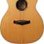 Tanglewood Premier SE TPE SFCE DS (Pre-Owned) #BN131200141 