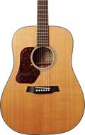 Walden D550L Dread Left Handed (Pre-Owned) #0906555