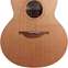 Lowden F-23 With LR Baggs Anthem Walnut Red Cedar Left Handed (Pre-Owned) #25230 