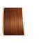 Lowden F-23 With LR Baggs Anthem Walnut Red Cedar Left Handed (Pre-Owned) #25230 Front View