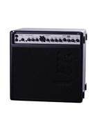 AER Acousticube IIa Combo Acoustic Amp (Pre-Owned) #96090620