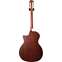 Taylor 314ce-N Nylon Grand Auditorium Sapele (2012) (Pre-Owned) #1101265067 Back View
