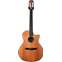Taylor 314ce-N Nylon Grand Auditorium Sapele (2012) (Pre-Owned) #1101265067 Front View
