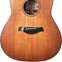 Taylor Builder's Edition 717e Grand Pacific Wild Honey Burst (Pre-Owned) #1201242091 