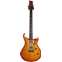 PRS 2009 Custom 24 Matteo Mist 25th Anniversary (Pre-Owned) #09150886 Front View
