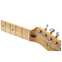 Fender 2020 Player Telecaster Tidepool Maple Fingerboard (Pre-Owned) #MX19190071 Front View