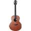Lowden F-35 Ebony/Sinker Redwood with Bevel LR Baggs Anthem (Pre-Owned) #23848 Front View