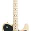 Fender 2017 American Professional Telecaster Deluxe Shawbucker Maple Fingerboard Natural Ash (Pre-Owned) #US17002867 
