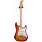 Fender 2018 American Professional Stratocaster Maple Fingerboard Sienna Sunburst Ash (Pre-Owned) #US18002827 Front View