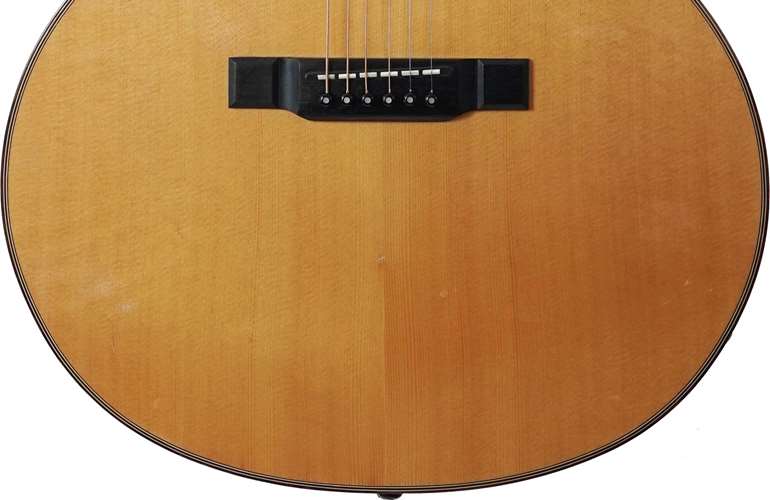 Washburn Woodstock Electro Acoustic Natural (Pre-Owned) #W586T82 Washburn Woodstock Electro Acoustic Natural (Pre-Owned) #W586T82