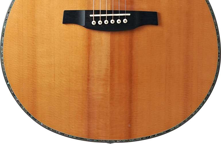 PRS SE T55E Tonare Abbaco Green (Pre-Owned) #CTCC03350 PRS SE T55E Tonare Abbaco Green (Pre-Owned) #CTCC03350