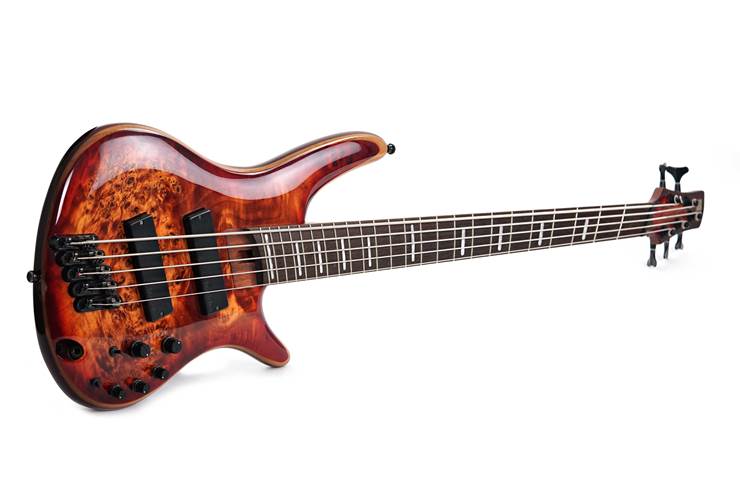 Ibanez 2018 SRMS805 Brown Toppers Burst (Pre-Owned) #180216354 Ibanez 2018 SRMS805 Brown Toppers Burst (Pre-Owned) #180216354