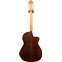 Manuel Raimundo 660E Cedar/Rosewood Left Handed (Pre-Owned) Back View