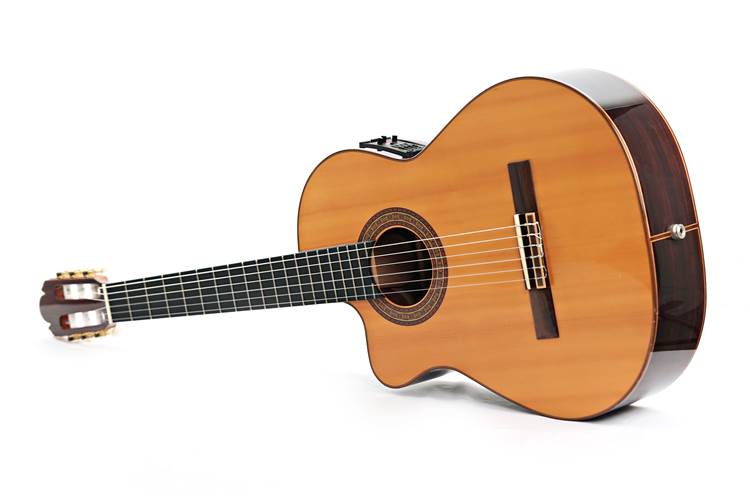 Manuel Raimundo 660E Cedar/Rosewood Left Handed (Pre-Owned) Manuel Raimundo 660E Cedar/Rosewood Left Handed (Pre-Owned)