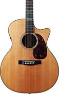 Martin GPCPA1 Plus Performing Artist Series (Pre-Owned) #1872250