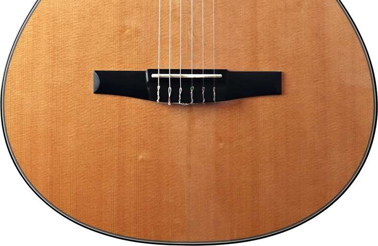 Taylor 312ce-N Nylon Grand Concert (Pre-Owned) #1203242170 Taylor 312ce-N Nylon Grand Concert (Pre-Owned) #1203242170