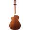 Taylor 214ce-N (Pre-Owned) #2102237431 Back View