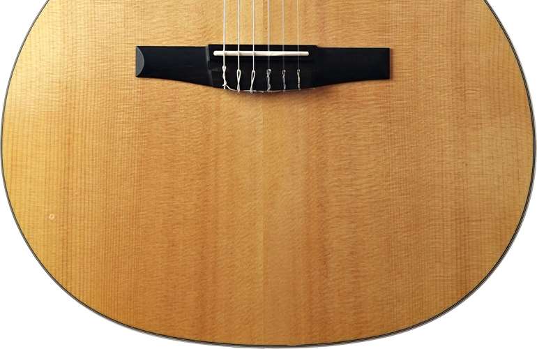 Taylor 214ce-N (Pre-Owned) #2102237431 Taylor 214ce-N (Pre-Owned) #2102237431