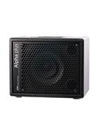 AER Alpha Plus Acoustic Guitar Combo (Pre-Owned) #147000151