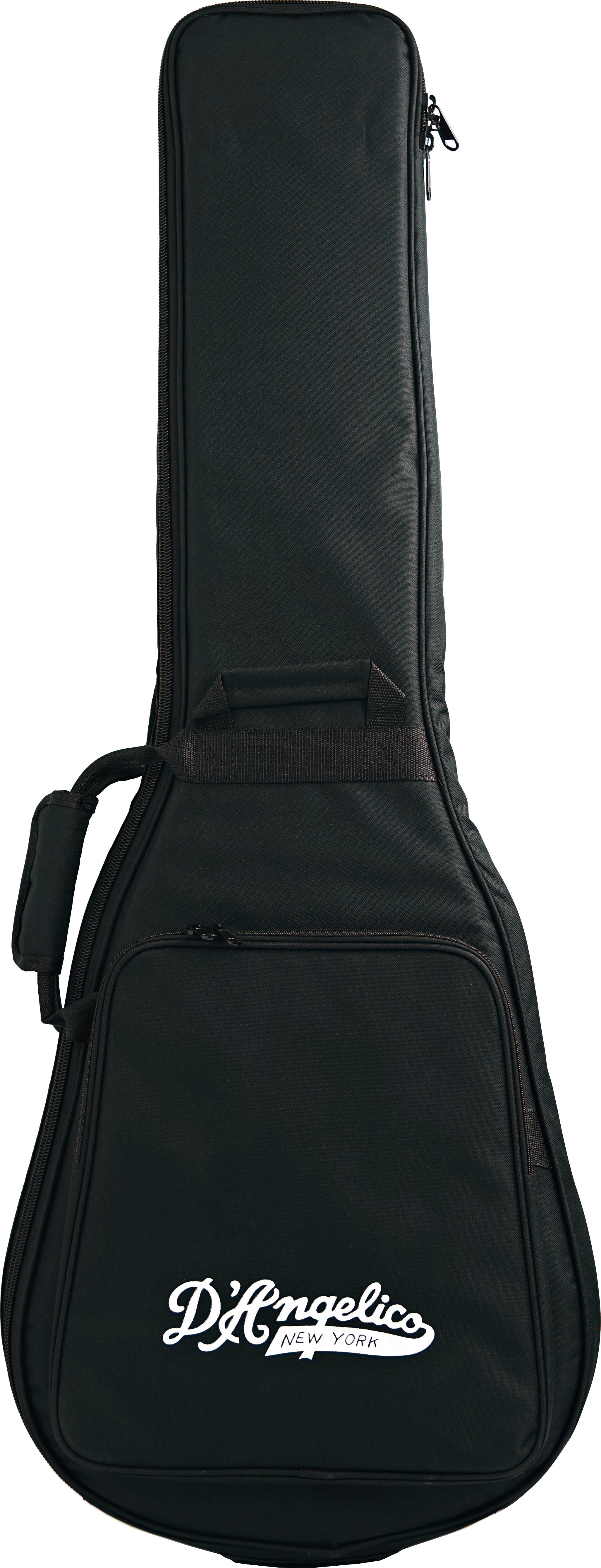 D'Angelico 2023 Premier SS Stop Bar Black Flake (Pre-Owned) #KP231288