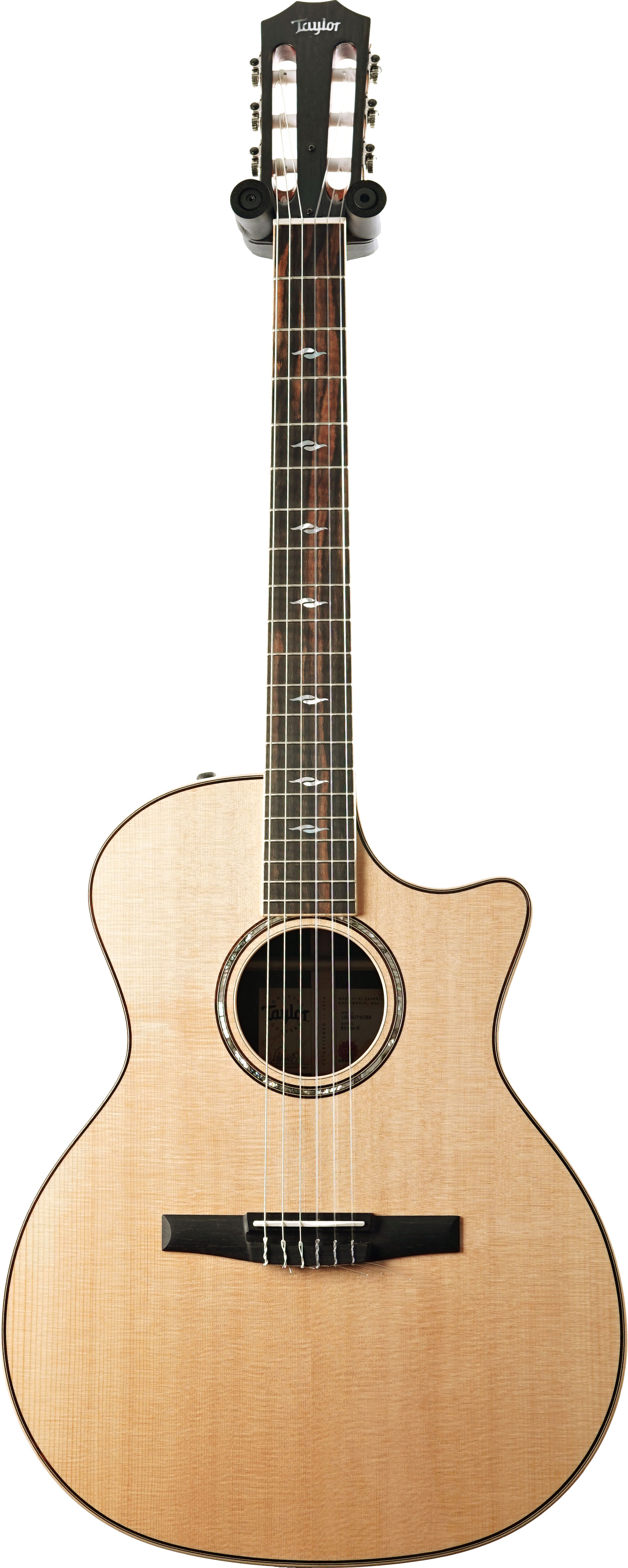 Taylor 2024 800 Series 814ce-N Nylon Grand Auditorium Rosewood (Pre-Owned) #1208074033