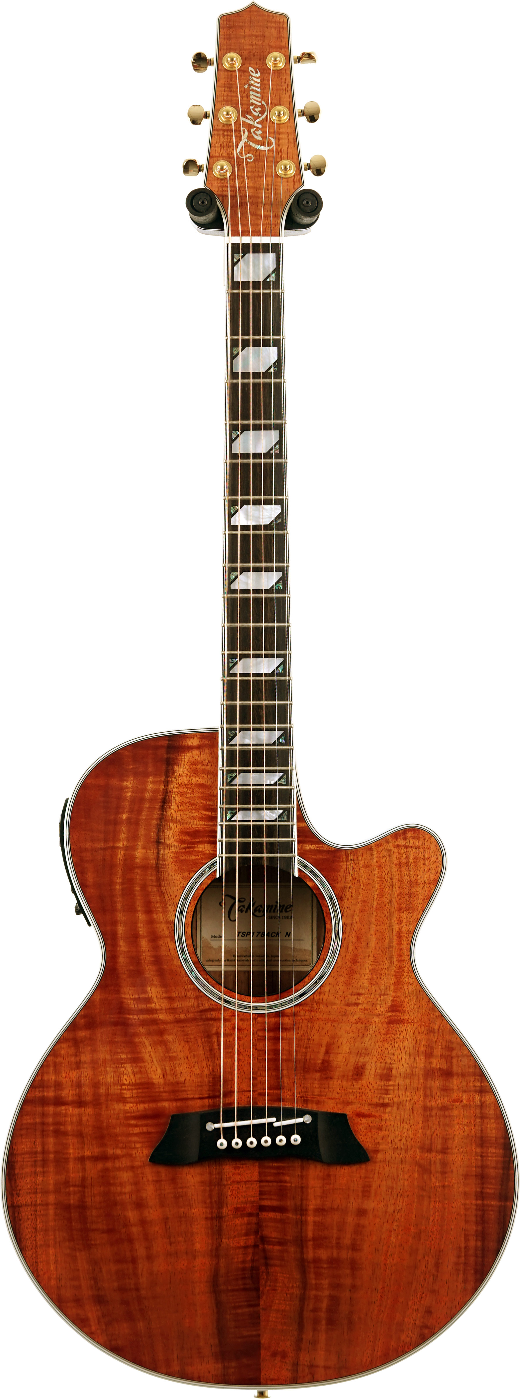 Takamine 2019 TSP178ACKN Thinline Koa (Pre-Owned) #57060050