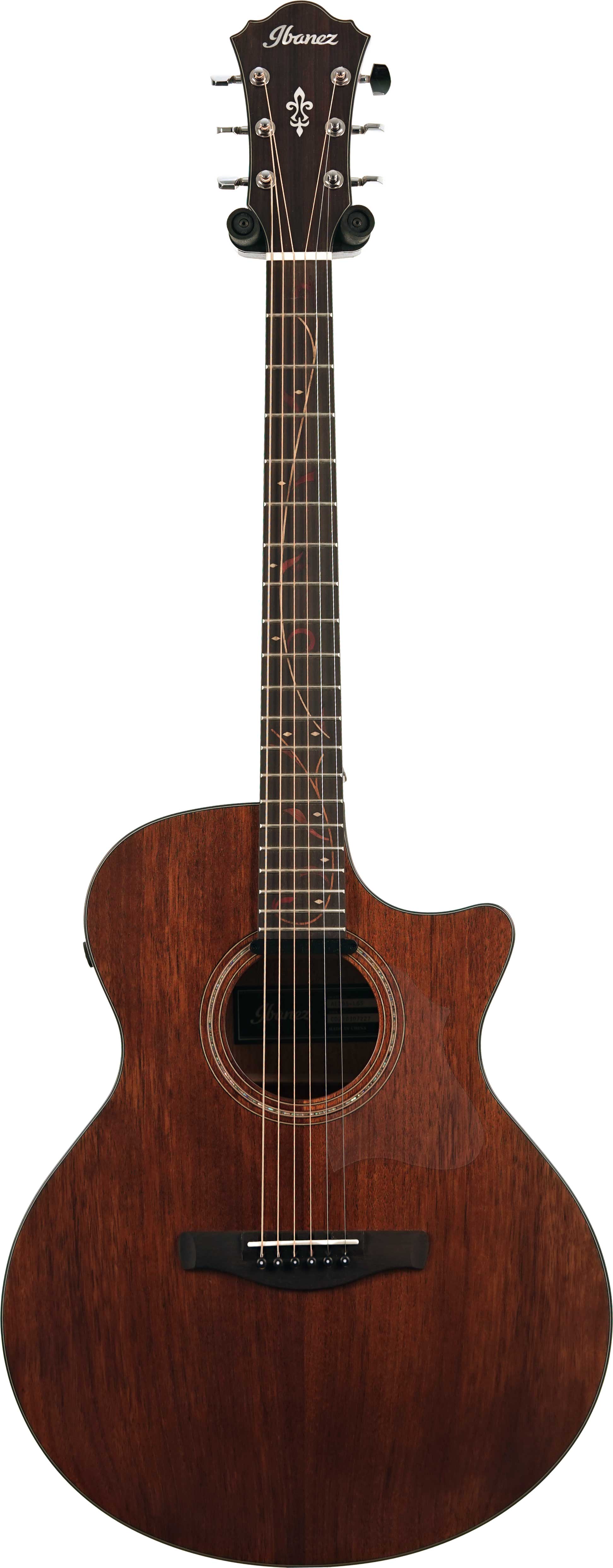 Ibanez 2021 AE295 Natural Low Gloss (Pre-Owned) #CD210307227