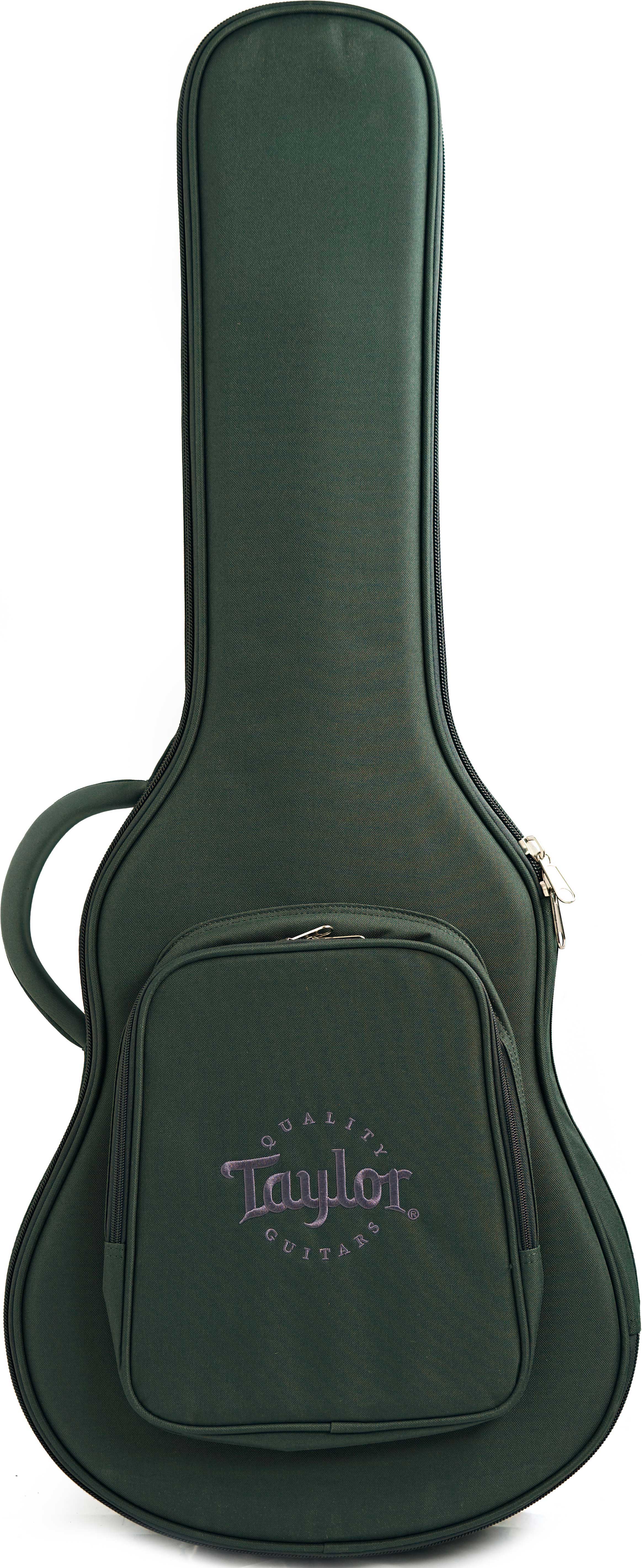 Taylor T5z Classic Sassafras #1203084113