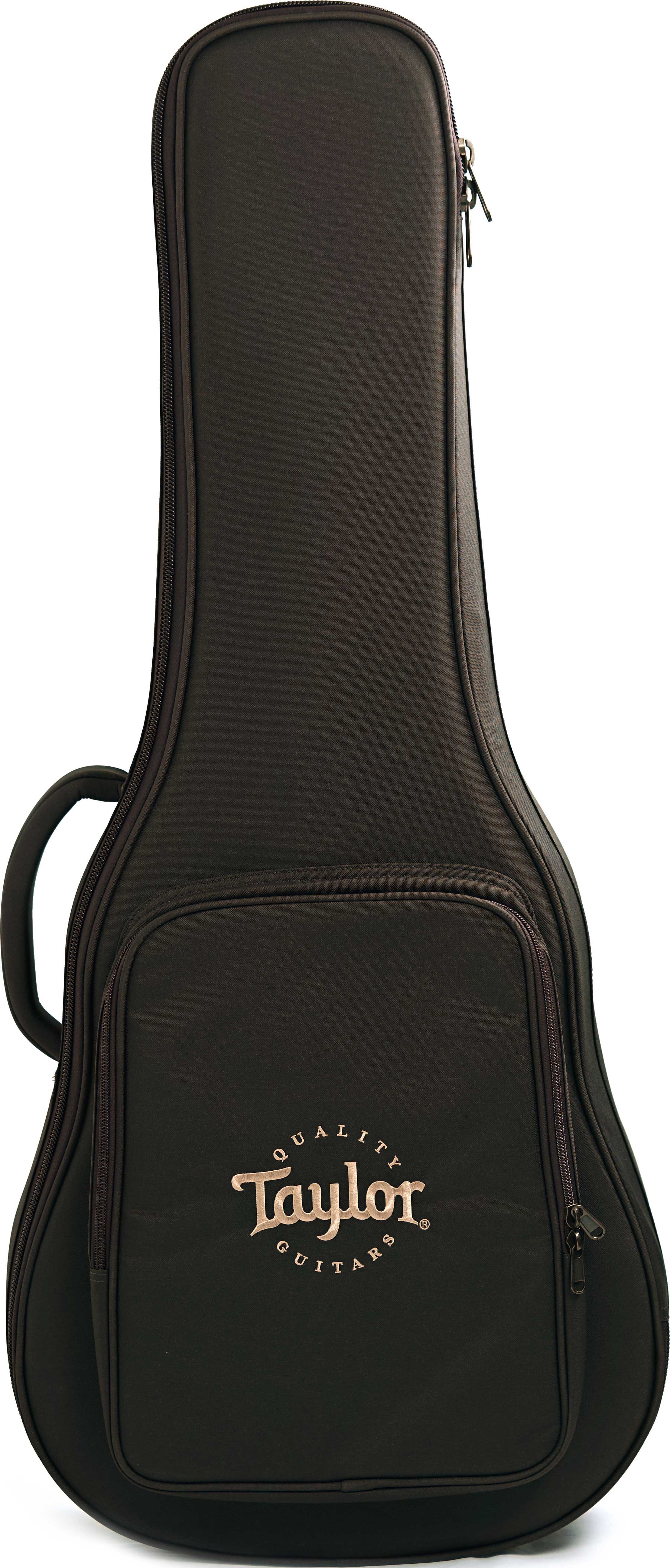 Taylor GS Mini-e Koa Plus #2208125239