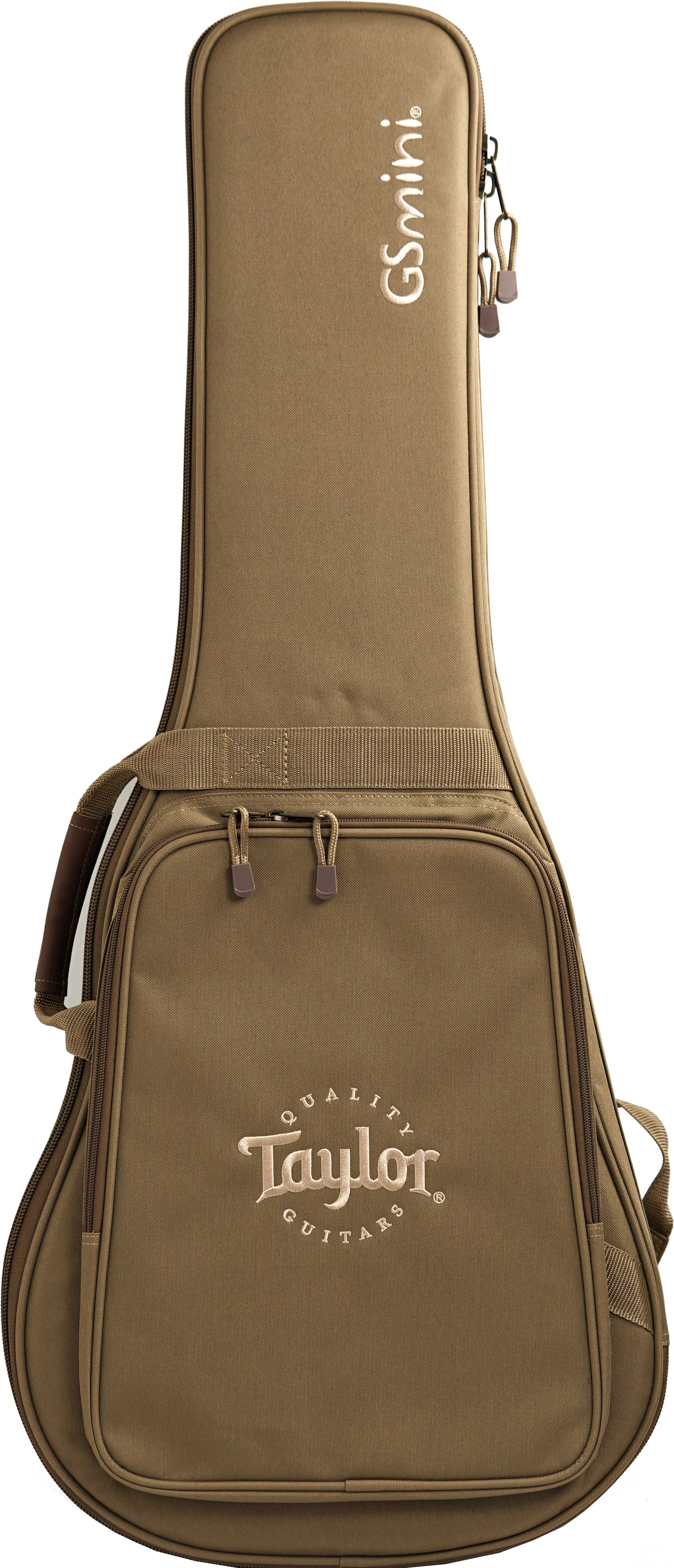 Taylor GS Mini-e Rosewood SB #2206116265
