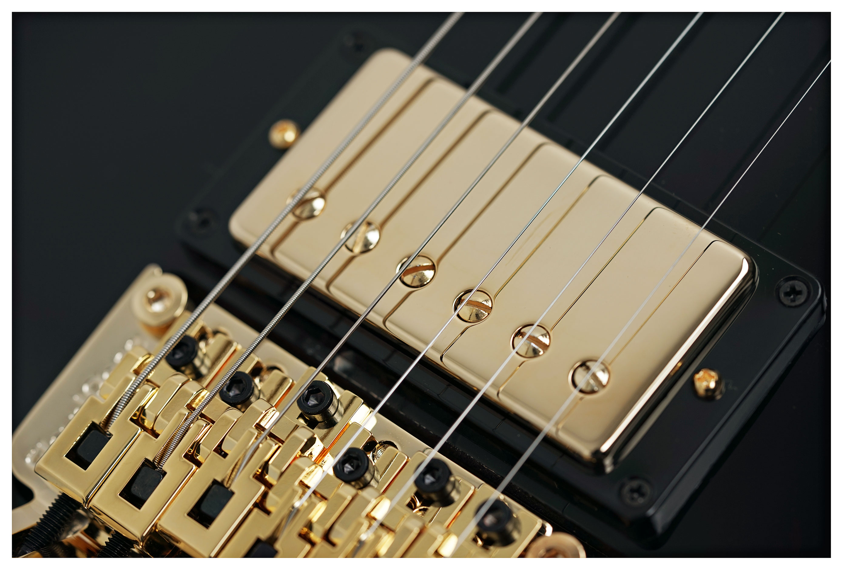 Gibson Custom Shop Les Paul Axcess Custom with Ebony Fingerboard Floyd Rose Gloss #CS600295